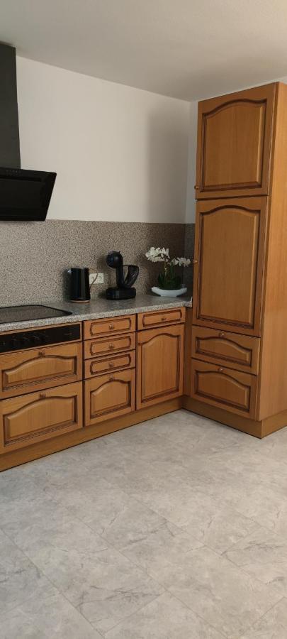 Schoene Und Optimal Gelegene Wohnung Og Weisskirchen Exterior foto