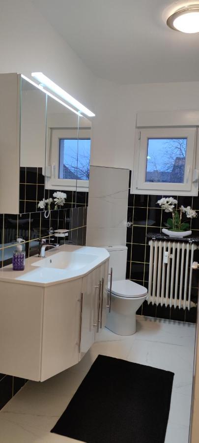 Schoene Und Optimal Gelegene Wohnung Og Weisskirchen Exterior foto